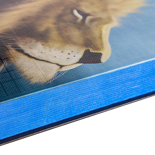 Bíblia Sagrada | NAA | Letra Normal | Capa Dura Leão