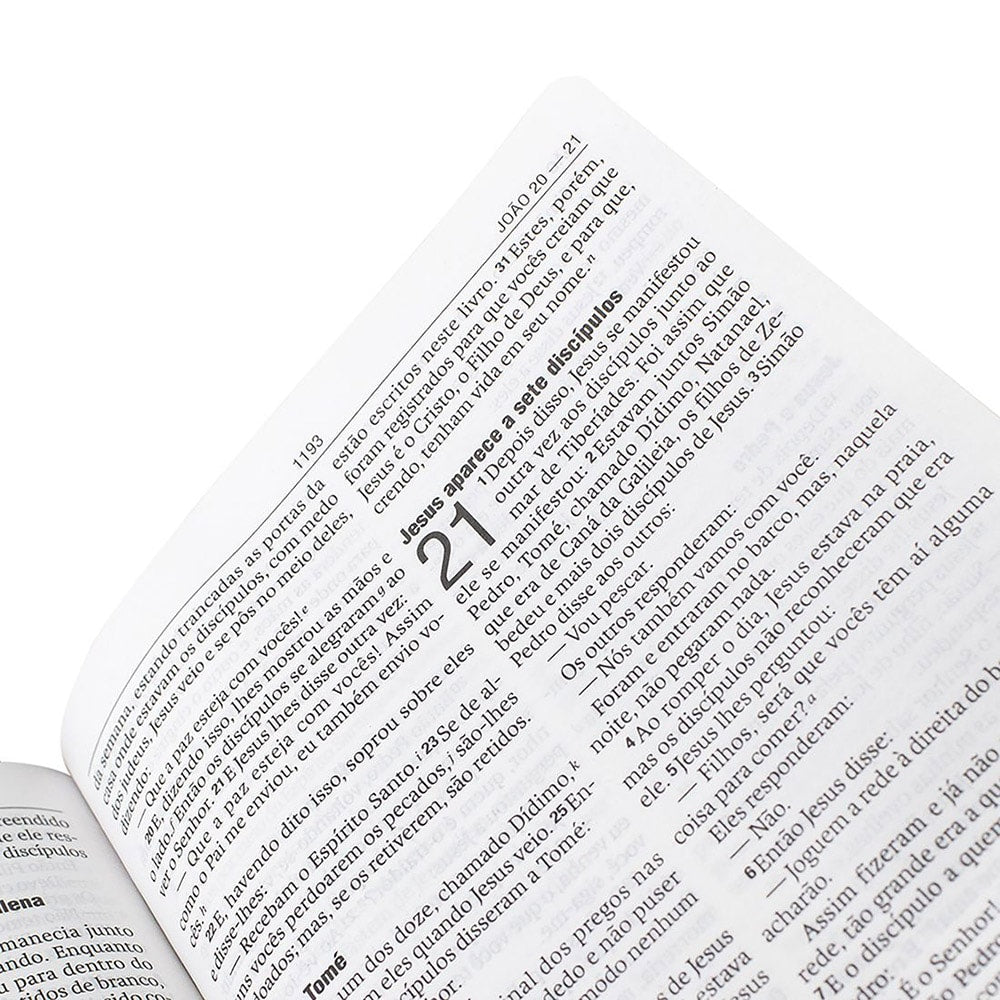 Bíblia Sagrada | NAA | Letra Normal | Capa Dura Leão