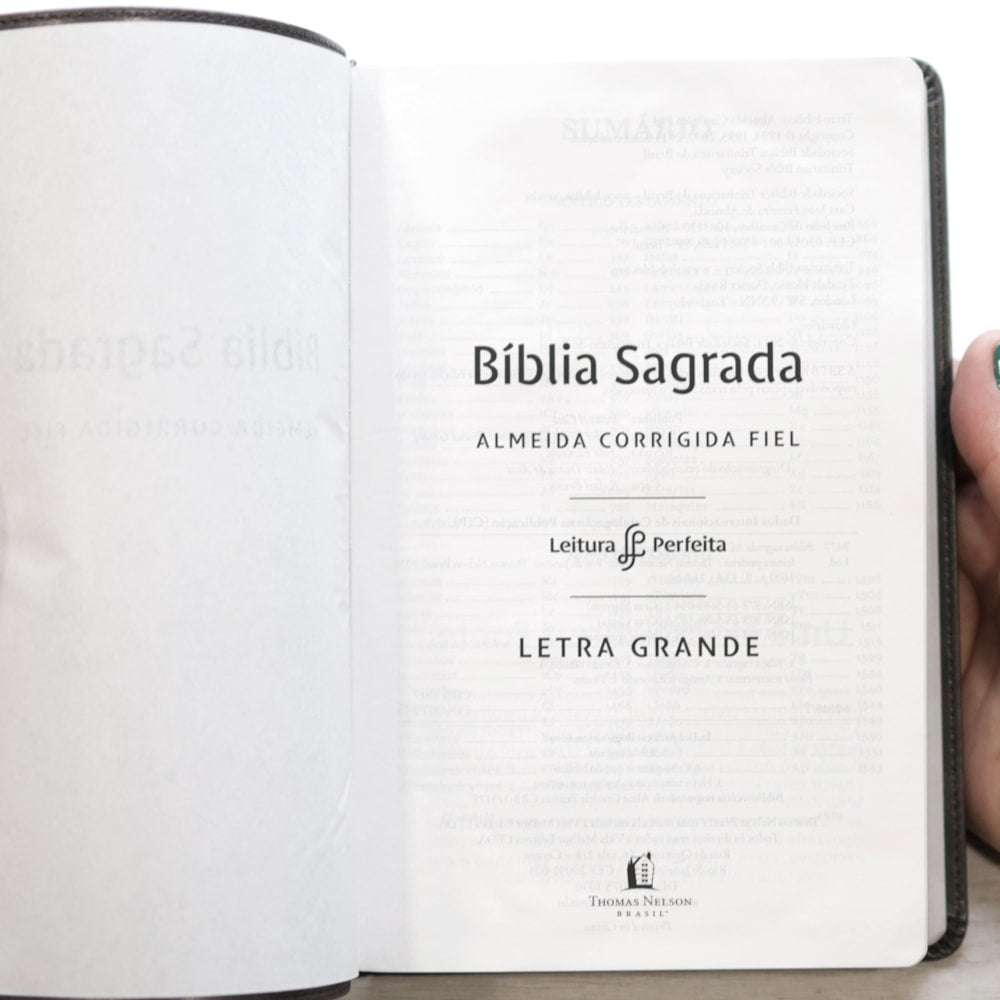 Bíblia Sagrada | ACF | Leitura Perfeita | Letra Grande | Couro Soft Cinza