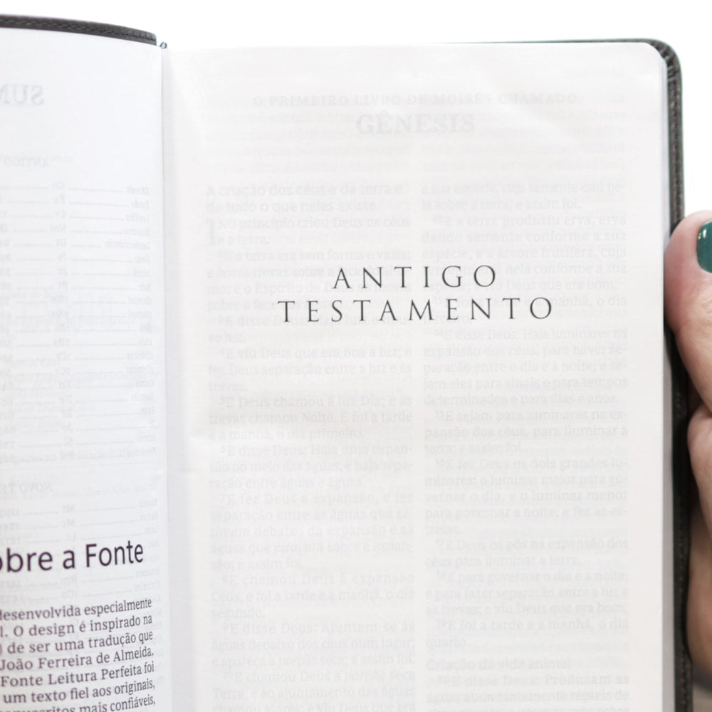Bíblia Sagrada | ACF | Leitura Perfeita | Letra Grande | Couro Soft Cinza