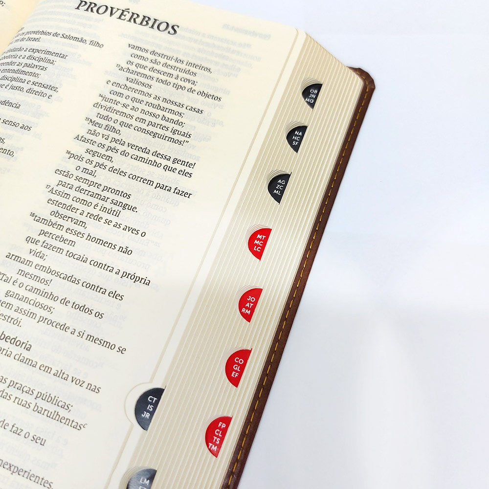Bíblia Sagrada | NVI | Leitura Perfeita | Couro Soft Marrom | Com Índice