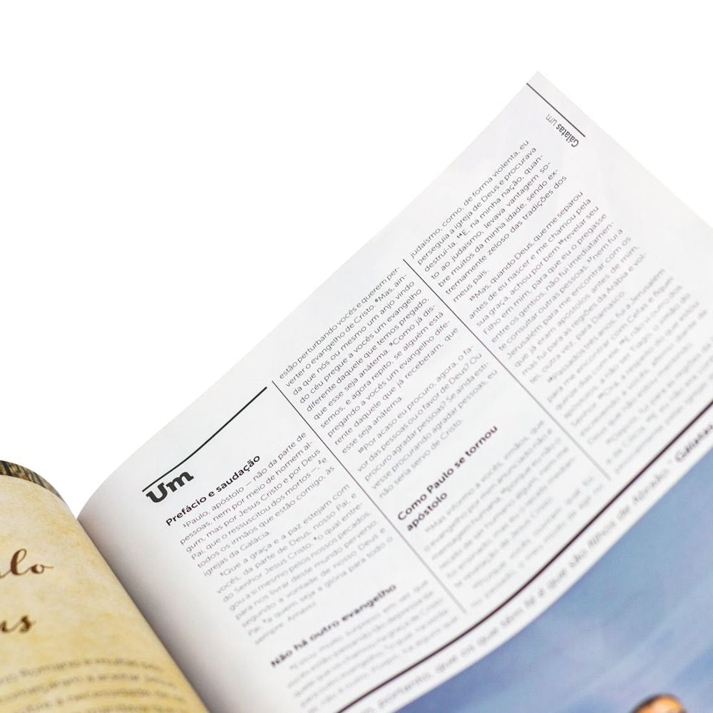 Bíblia NT Verbo | NAA | Capa Leme