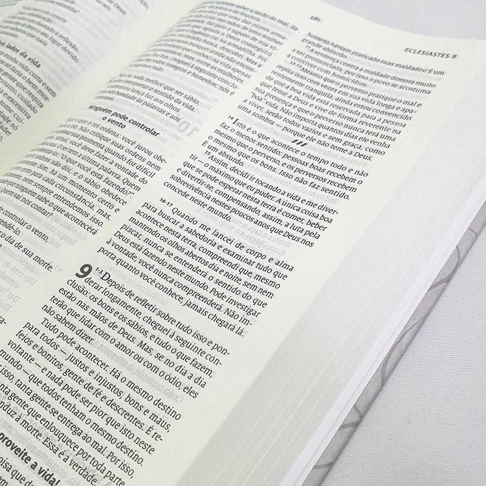 Bíblia A Mensagem | Letra Normal | Capa Dura | 1João 419