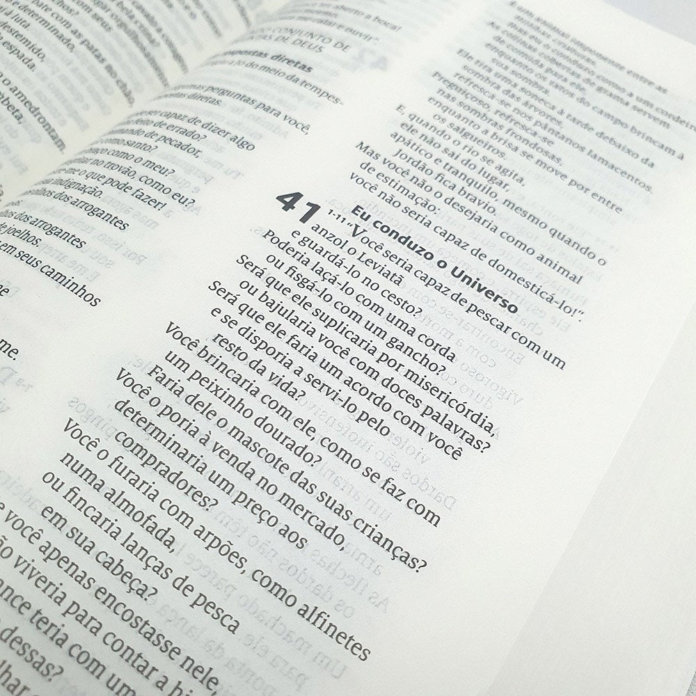Bíblia A Mensagem | Letra Normal | Capa Dura | 1João 419