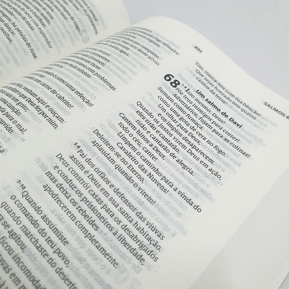 Bíblia A Mensagem | Letra Normal | Capa Dura | 1João 419