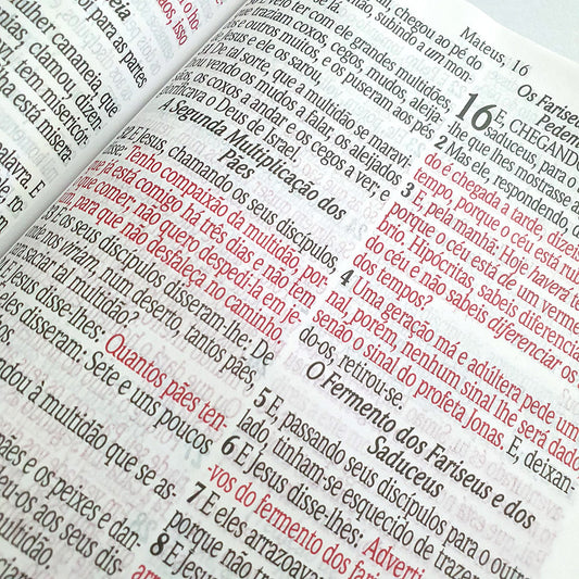 Bíblia Sagrada | ARC | Letra Jumbo | Índice | Luxo Marrom