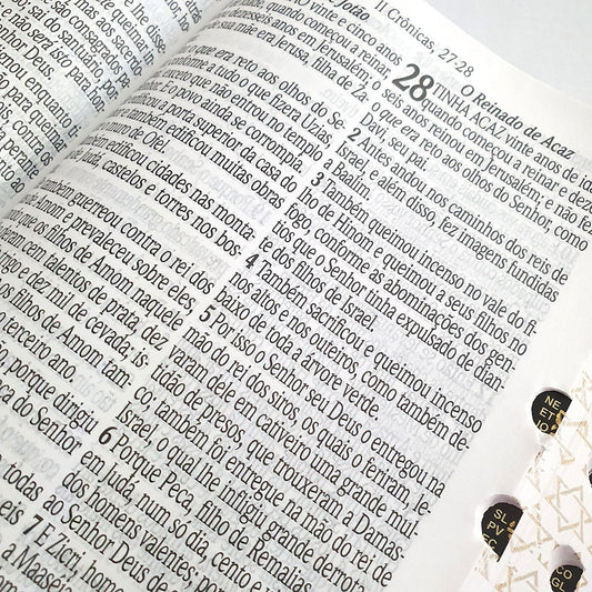 Bíblia Sagrada | ARC | Letra Jumbo | Índice | Luxo Preta