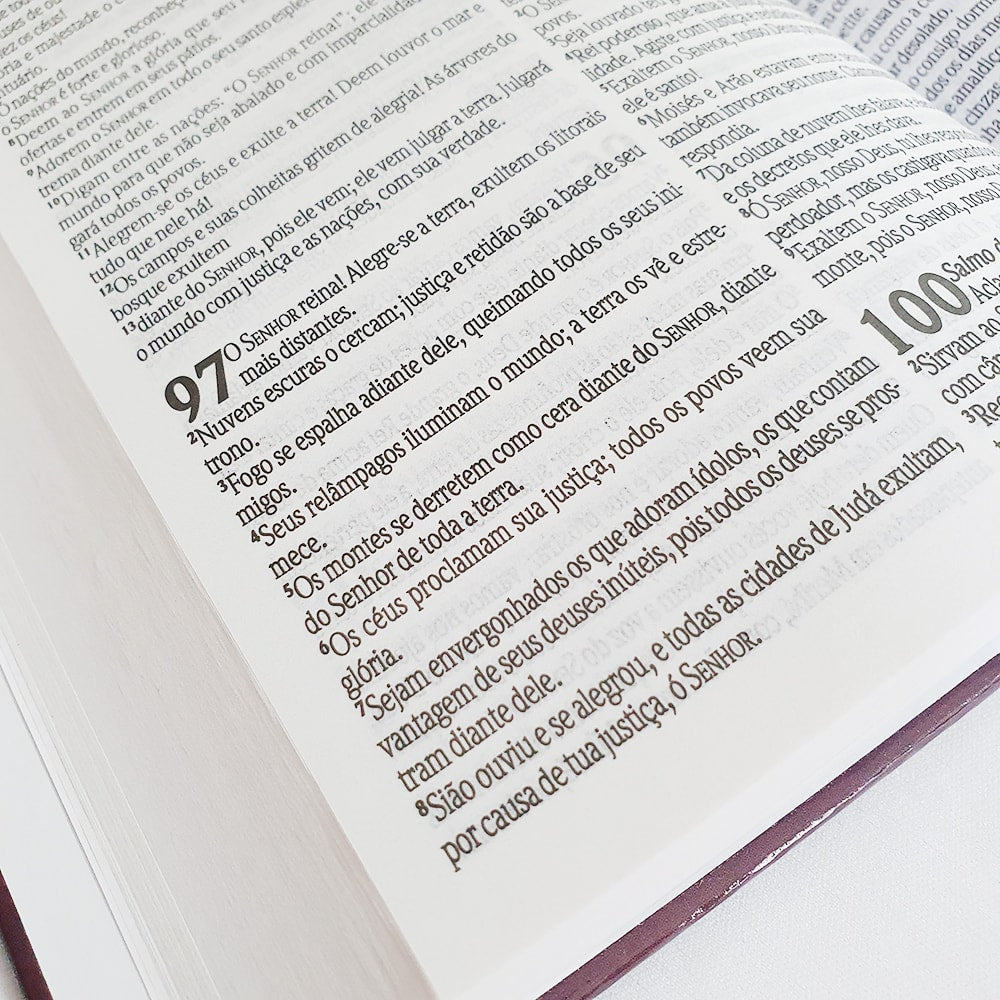 Bíblia Sagrada Tua Graça | NVT | letra Normal | Flexível Soft Touch