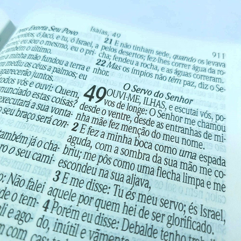 Bíblia Sagrada Letra Jumbo | ARC | Capa Luxo Arabesco Bordo