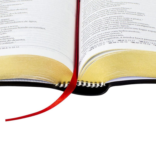 Bíblia Sagrada Média | NAA | Letra Grande | Capa Luxo Preta