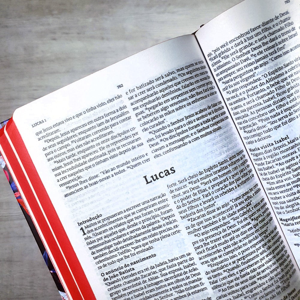 Bíblia Sagrada | NVT | Letra Normal | Capa Dura Aroma e Rosas