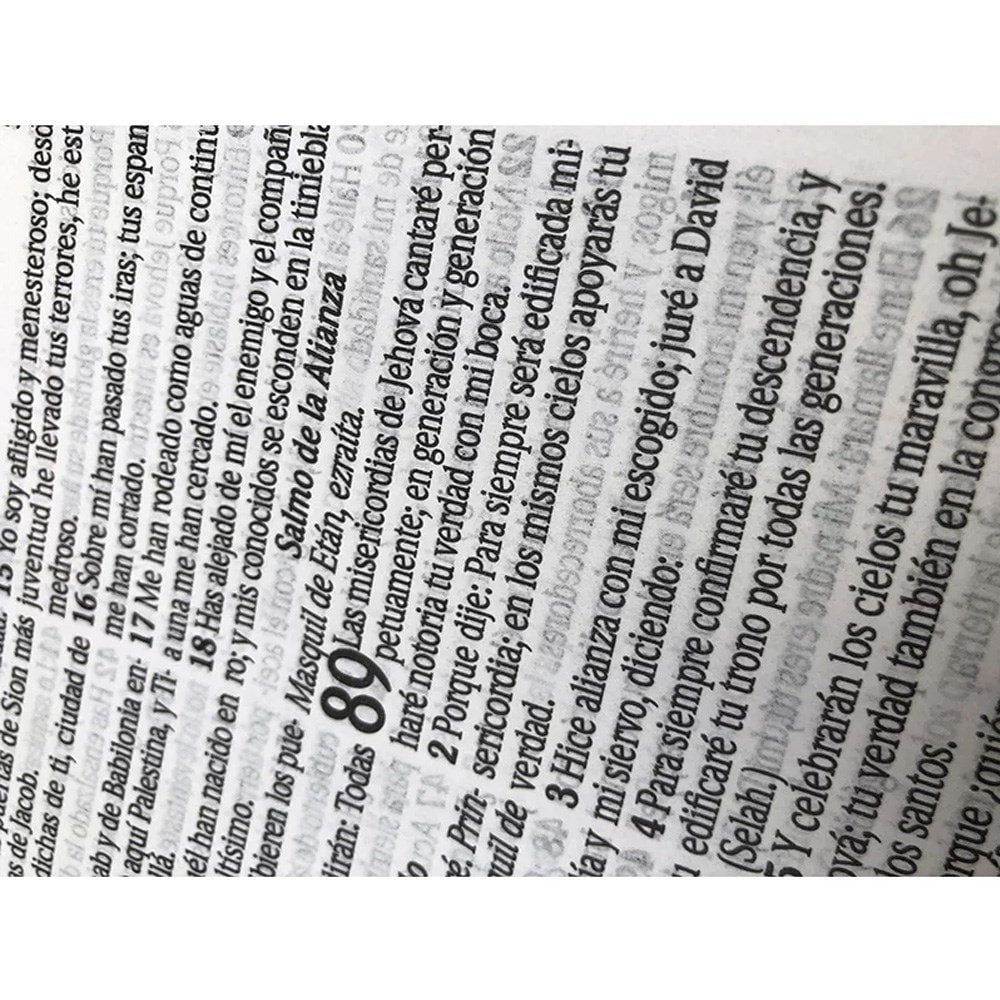 Bíblia Sagrada em Espanhol | RVT | Letra Super Gigante | Luxo Rosa