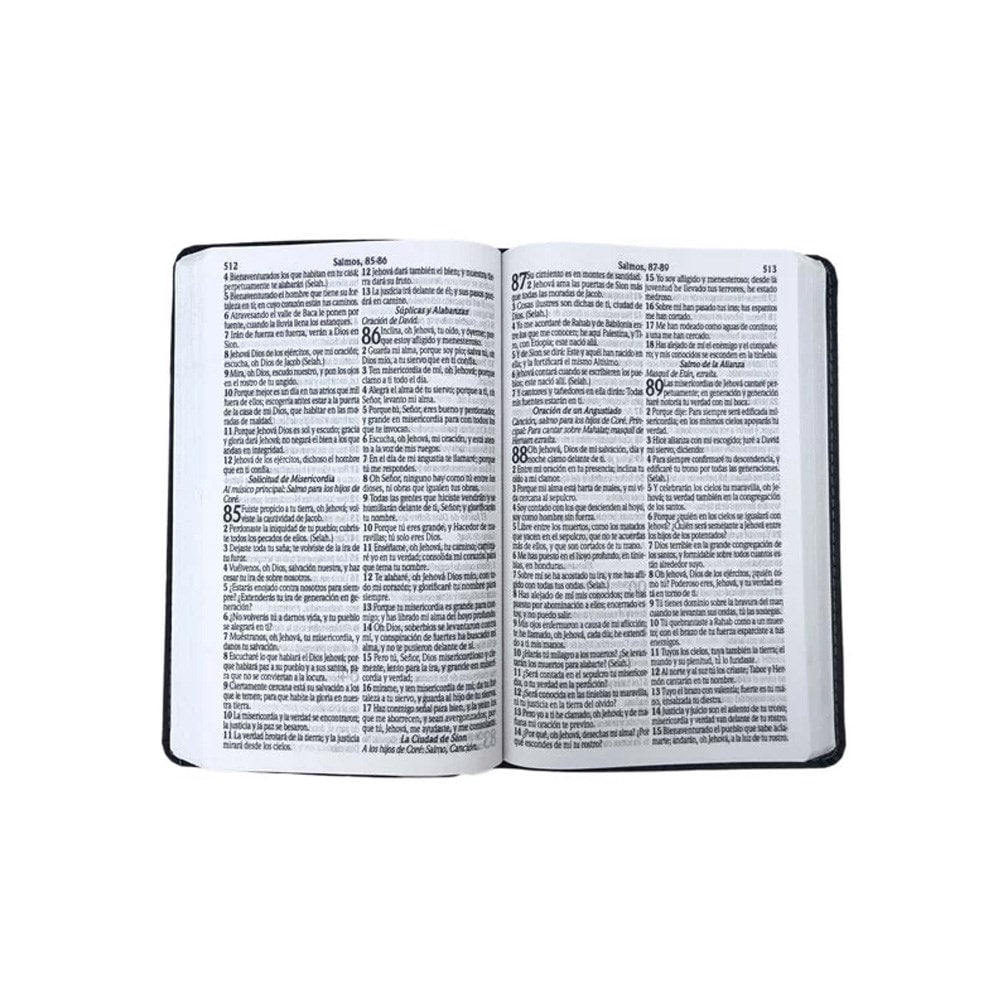 Bíblia Sagrada em Espanhol | RVT | Letra Super Gigante | Luxo Pink