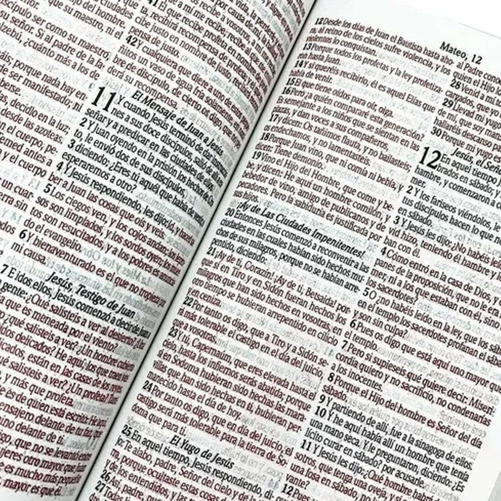 Bíblia Sagrada em Espanhol | RVT | Letra Super Gigante | Luxo Pink