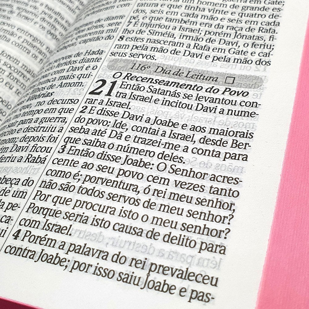 Bíblia com 365 Reflexões e Plano de Leitura | ARC | Hipergigante | Capa Dura Leão