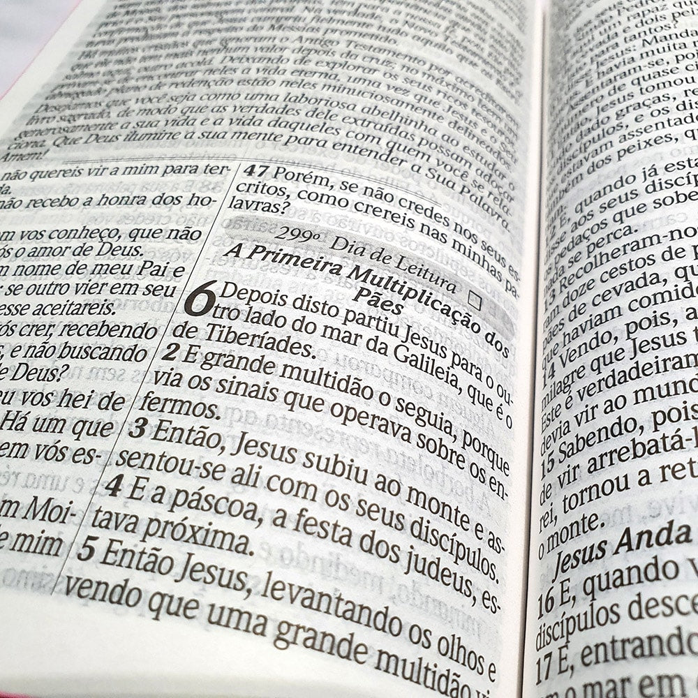 Bíblia com 365 Reflexões e Plano de Leitura | ARC | Hipergigante | Capa Dura Leão