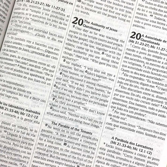 Bíblia Sagrada Trilíngue | NVI | Letra Normal | Capa Luxo Feminina