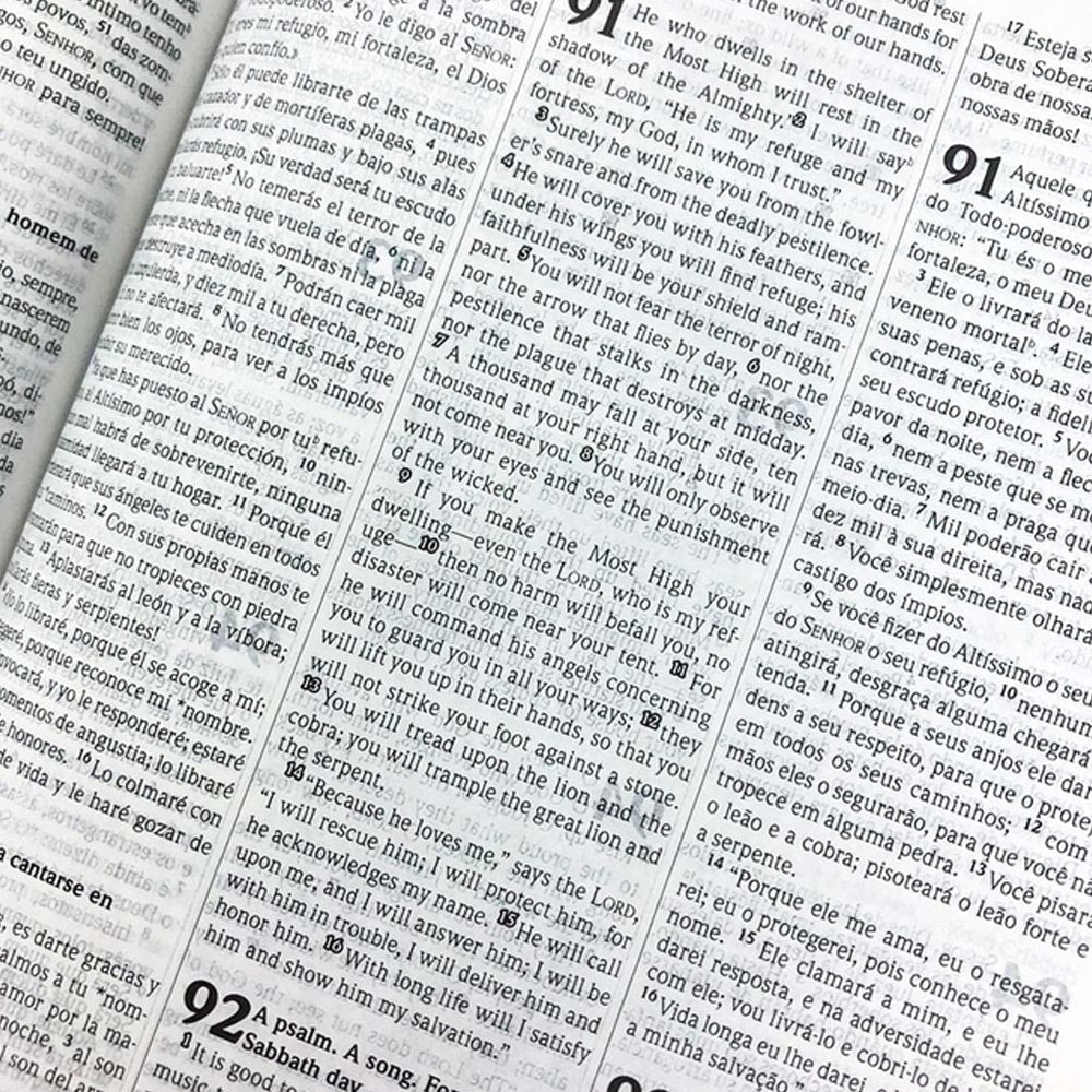 Bíblia Sagrada Trilíngue | NVI | Letra Normal | Capa Luxo Feminina