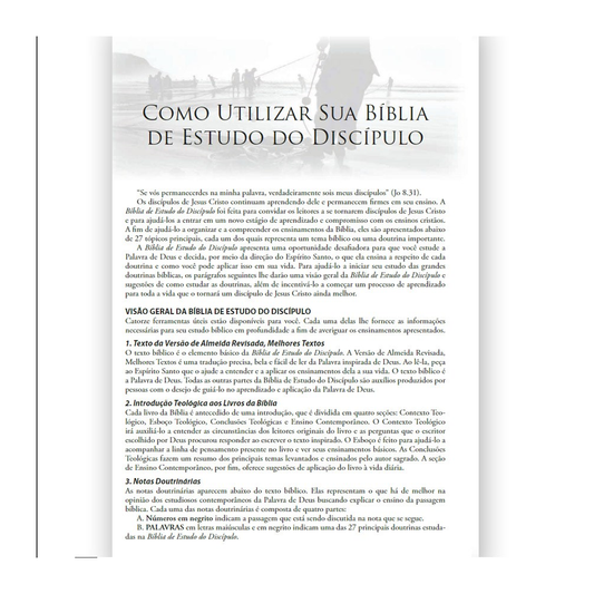 Bíblia de Estudo do Discípulo | JFA | Letra Média | Capa Luxo Feminina