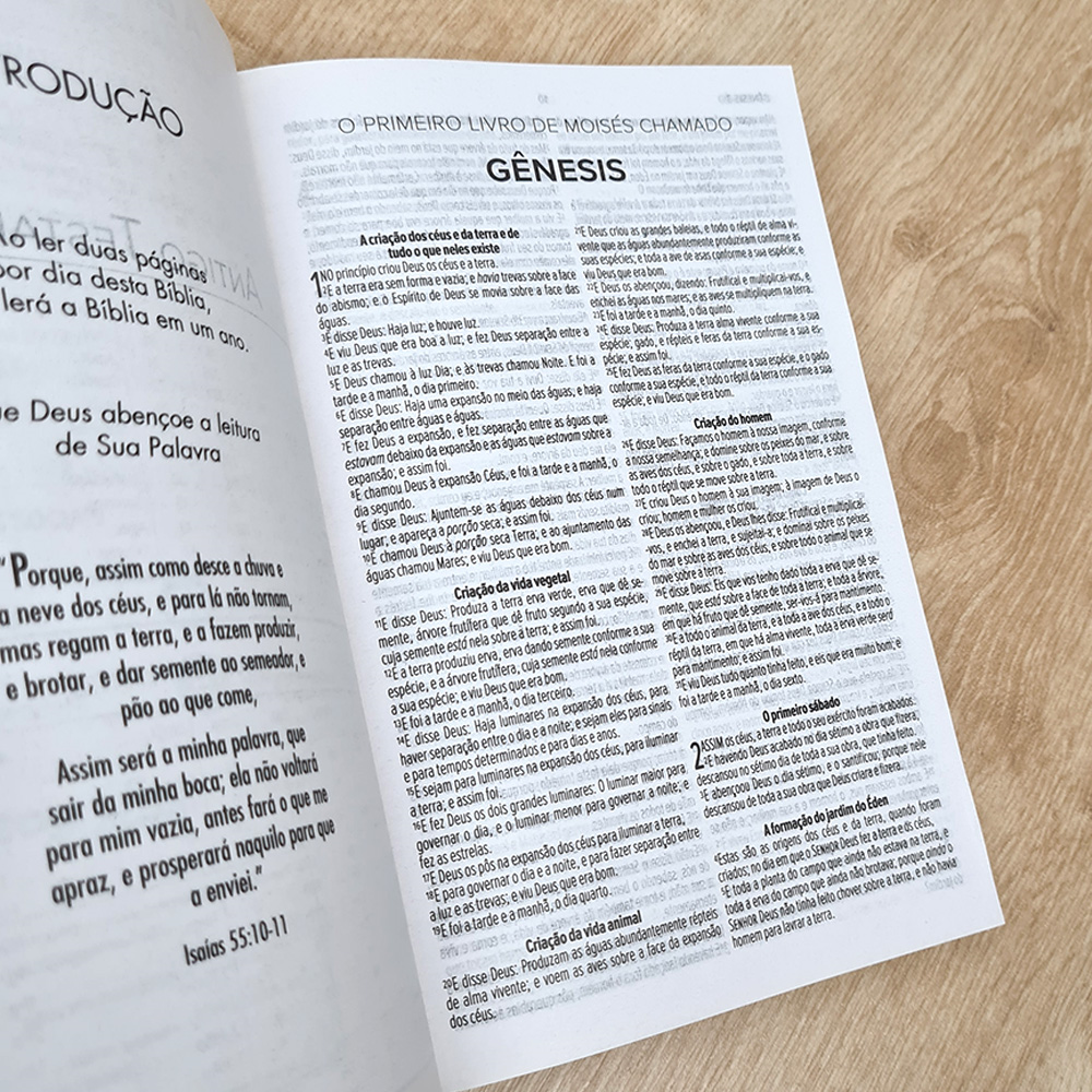 Bíblia Sagrada Salvos pela Graça | ACF | Letra Maior | Flexível Soft Touch