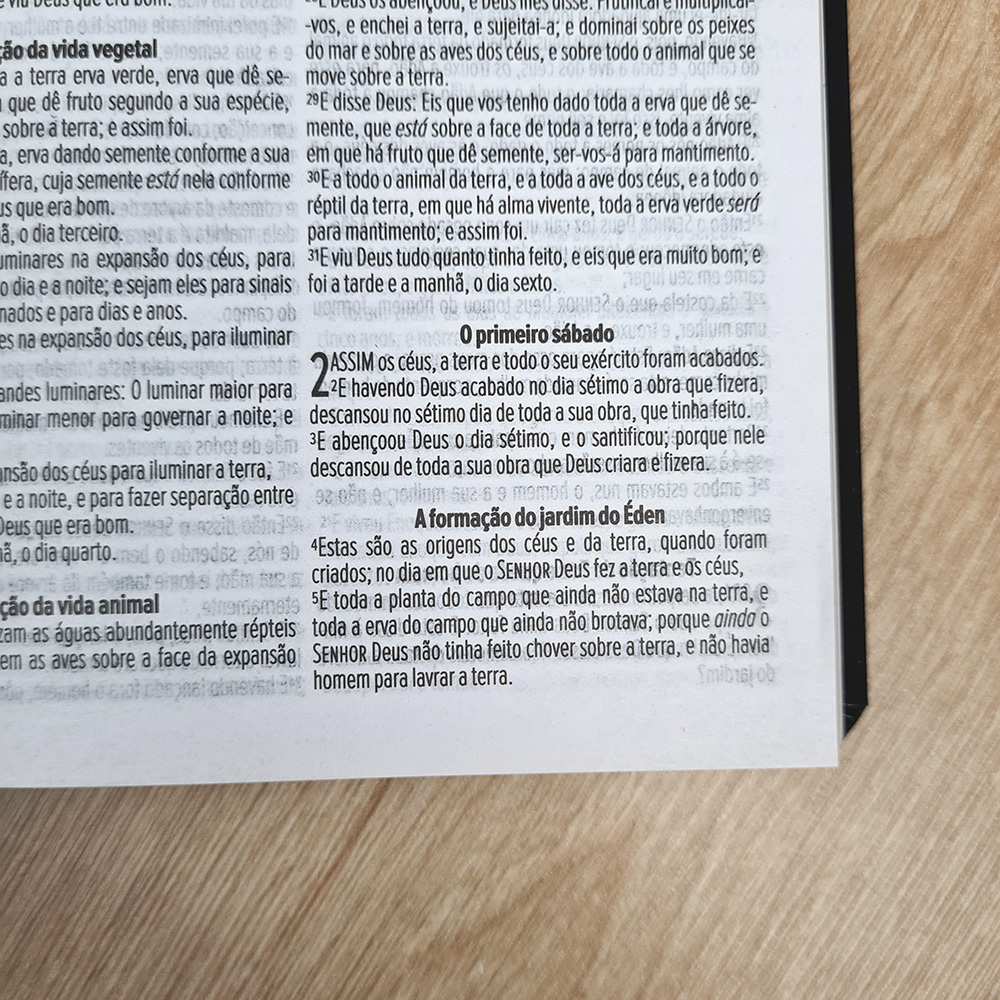 Bíblia Sagrada Salvos pela Graça | ACF | Letra Maior | Flexível Soft Touch