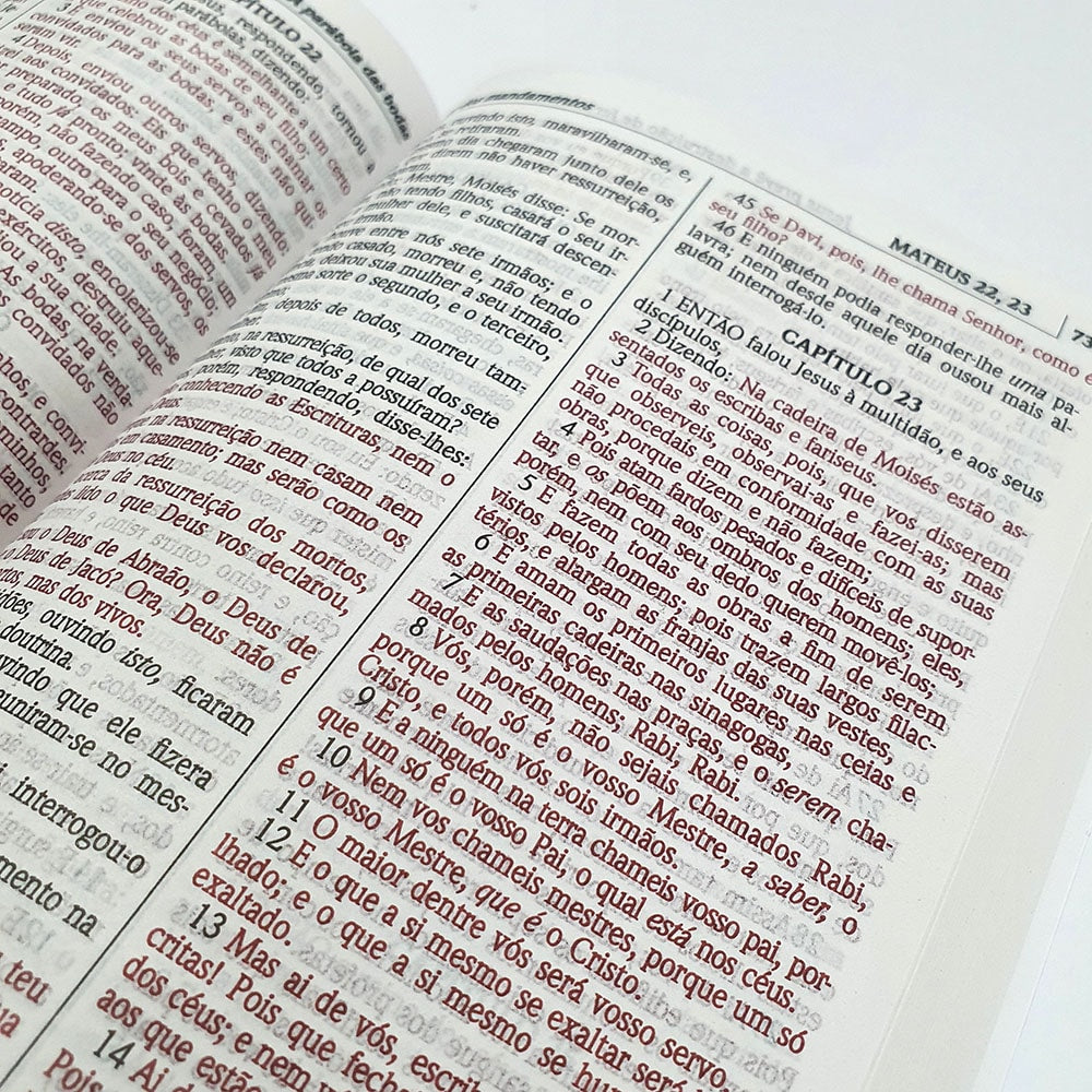 Bíblia Sagrada Leão Yeshua | ACF | Letra Maior | Capa Dura