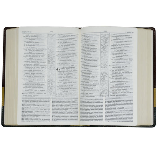 Bíblia de Estudo | NVI | Luxo Verde, Bege e Vinho