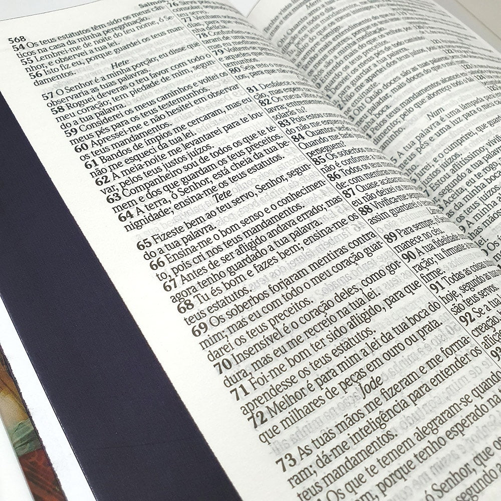 Bíblia Sagrada com Harpa Avivada e Carinhos | ARC | Capa Dura Leão Rei