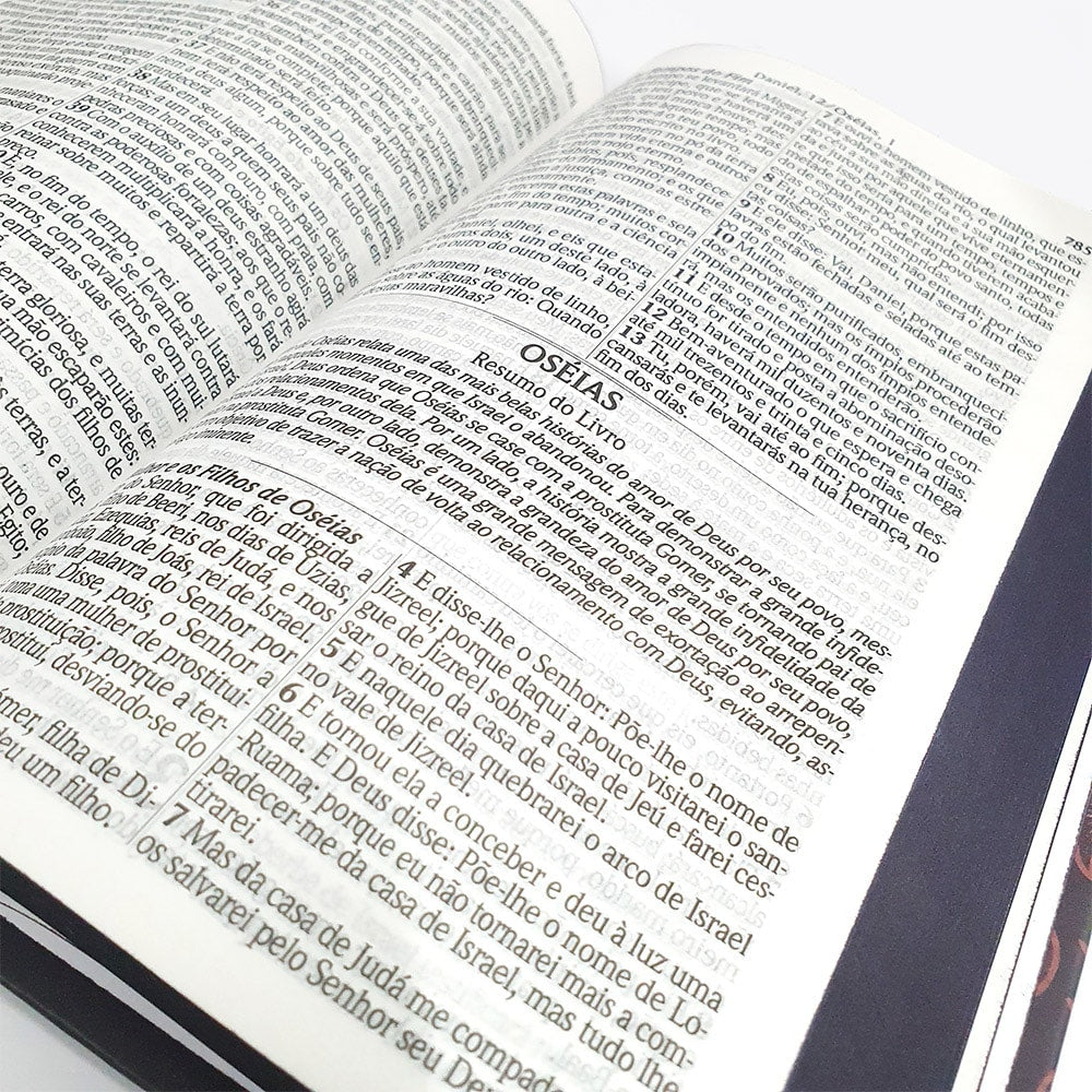 Bíblia Sagrada com Harpa Avivada e Corinhos | ARC | Capa Dura Paixão De Cristo