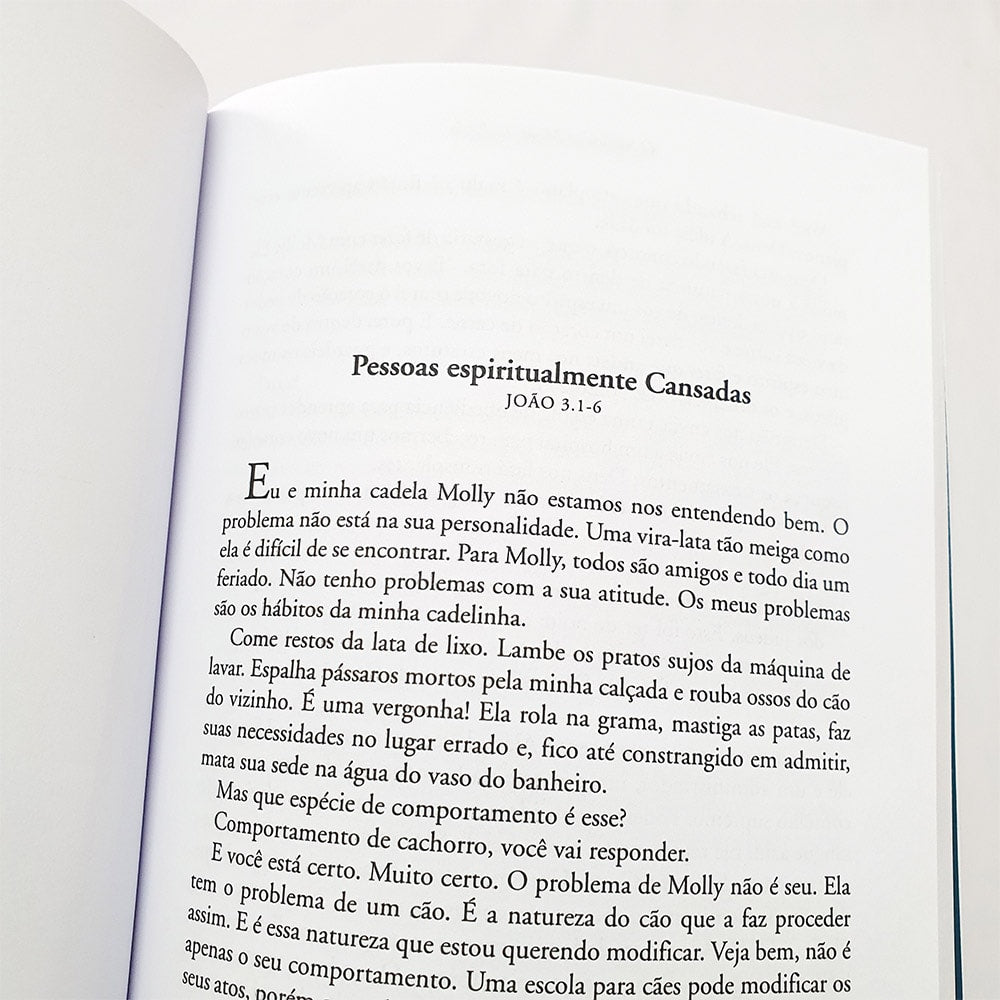 O Salvador Mora Ao Lado | Max Lucado | Capa Céu