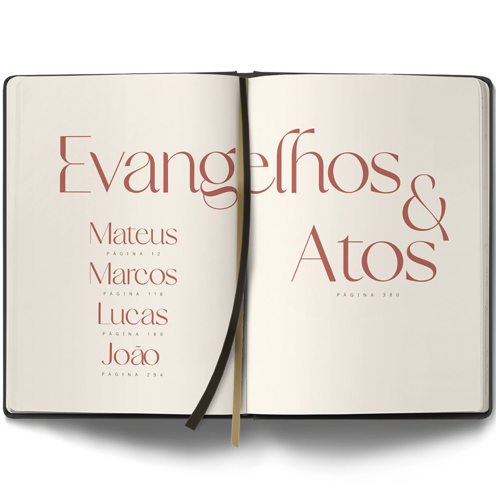 Bíblia Contexto | Evangelho e Atos | NVT | Capa Dura |Ornamentos