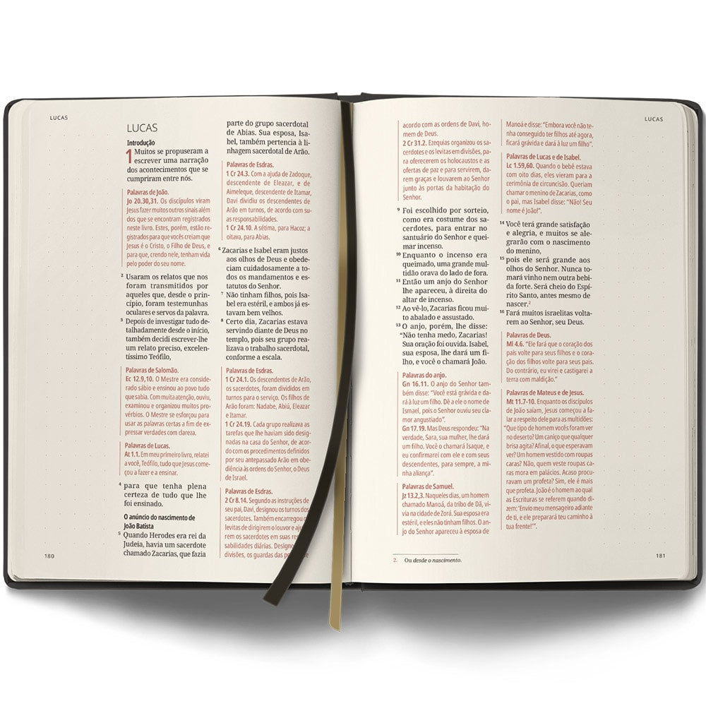 Bíblia Contexto | Evangelho e Atos | NVT | Capa Dura |Ornamentos