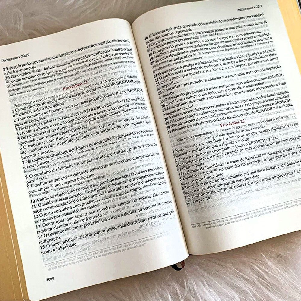 Bíblia de Estudo Literal do Texto Tradicional | LTT | Capa Luxo Marrom