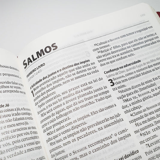 Bíblia Almeida Século 21 | A21 | Letra Normal | Vermelho e Areia C/ Referências Cruzadas