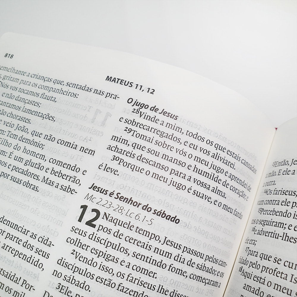 Bíblia Almeida Século 21 | A21 | Letra Normal | Vermelho e Areia C/ Referências Cruzadas
