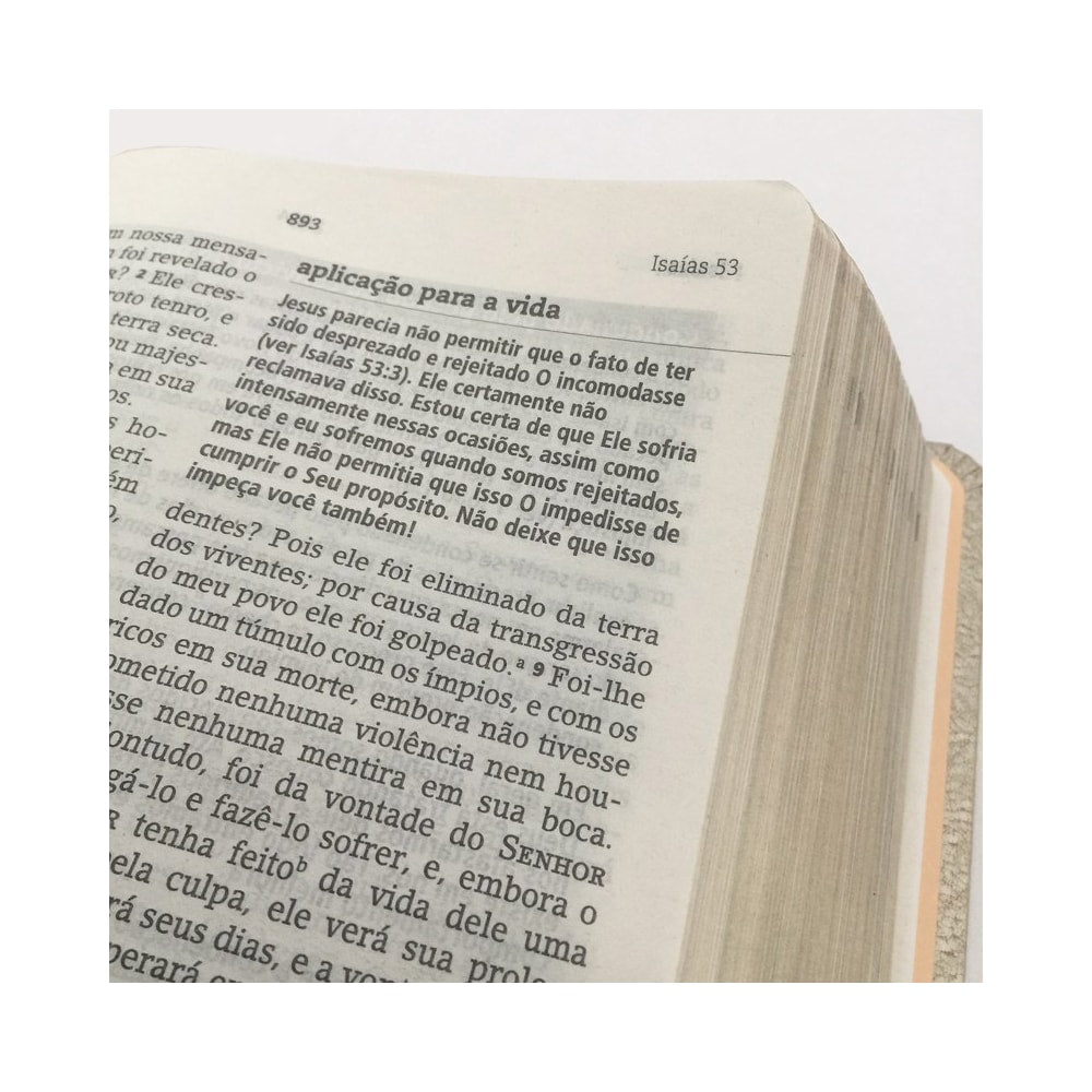 Bíblia de Estudos Joyce Meyer | NVI | Letra Normal | Capa Rosa Floral