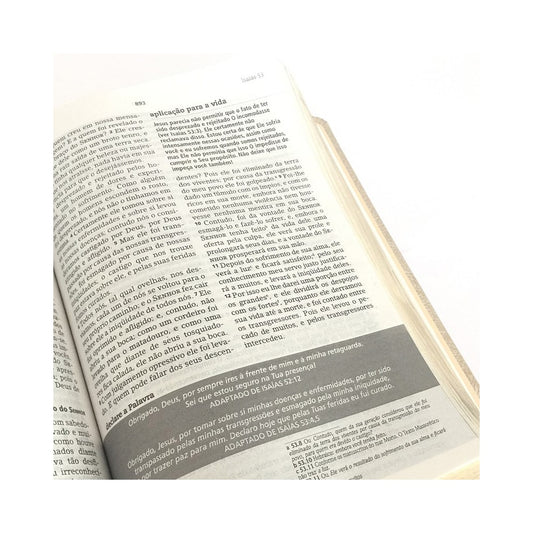 Bíblia de Estudos Joyce Meyer | NVI | Letra Normal | Capa Azul Leão