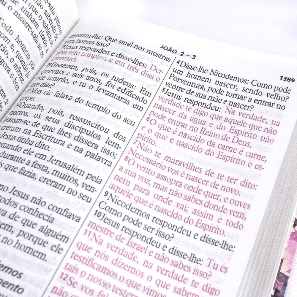 Bíblia da Mulher Vitoriosa | Letra Gigante | ARC | Capa Luxo Floral Bege