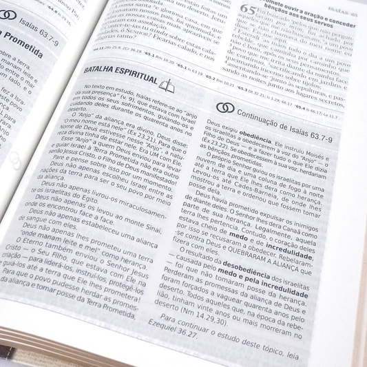 Bíblia de Estudo | Batalha Espiritual e Vitória Financeira | ARC| Capa Luxo Preta