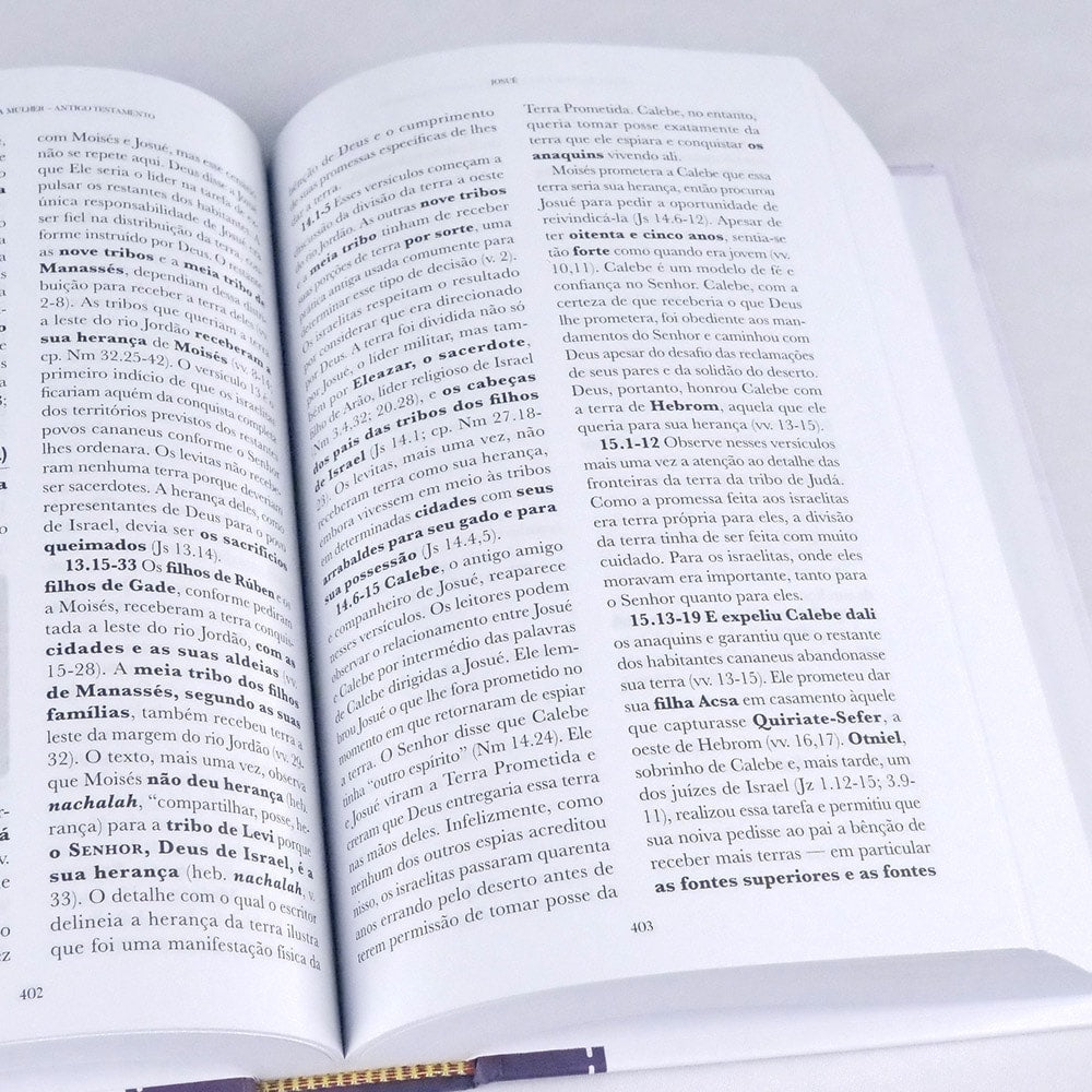 Comentário Bíblico da Mulher Antigo Testamento | Dorothy Kelley e Rhonda Harrington Kelly