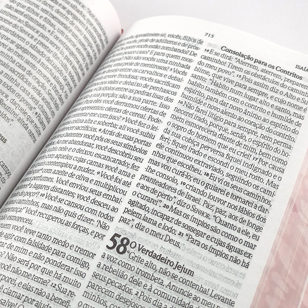 Bíblia da Mulher Vitoriosa | Letra Gigante | NVI| Capa Dura Onça