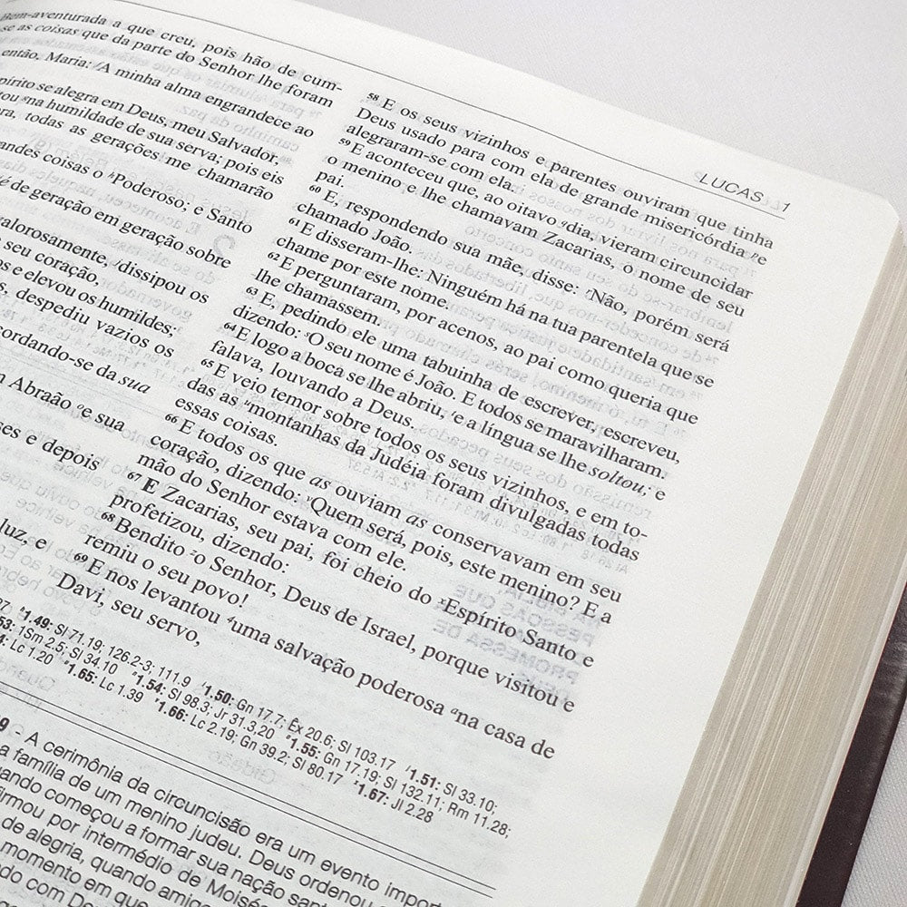 Bíblia de Estudo Aplicação Pessoal Grande | Letra Normal ARC | Marrom