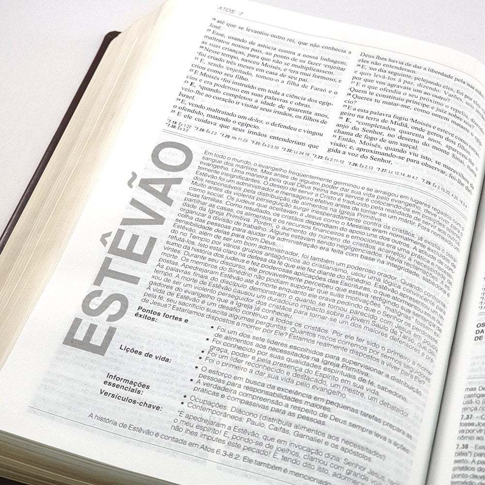 Bíblia de Estudo Aplicação Pessoal Grande | Letra Normal ARC | Marrom