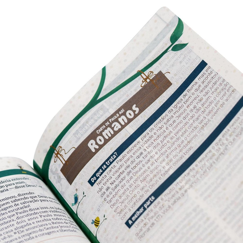 Bíblia Explicada Para Crianças | Smilinguido| NTLH | Capa Dura Azul