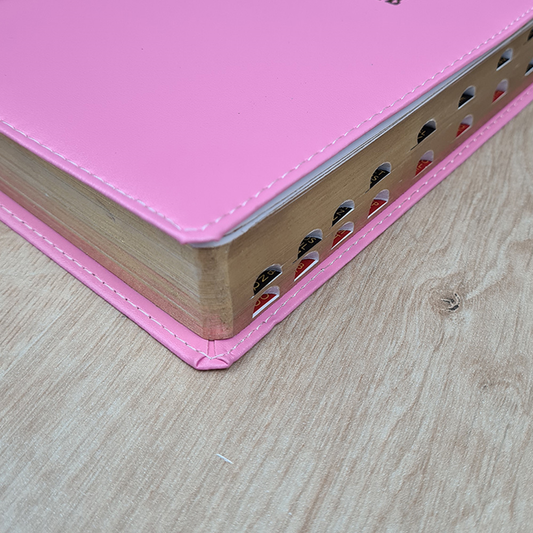 A Bíblia Sagrada | ACF | Letra Gigante | Capa Luxo Rosa