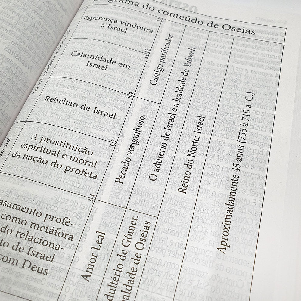 Bíblia de Estudo King James Atualizada | KJA | Letra Grande | Capa Dura Vinho
