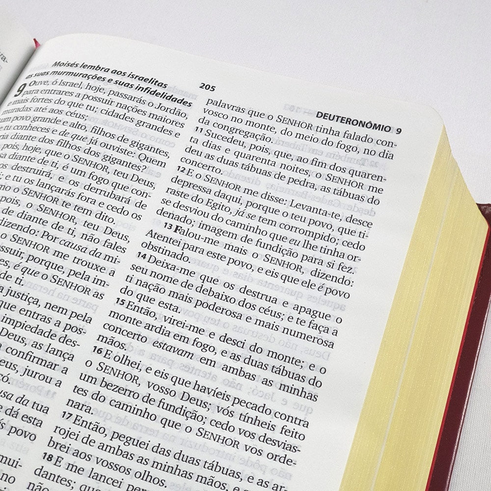 Bíblia Sagrada | Harpa Cristã | Letra Grande | Capa Luxo Vinho