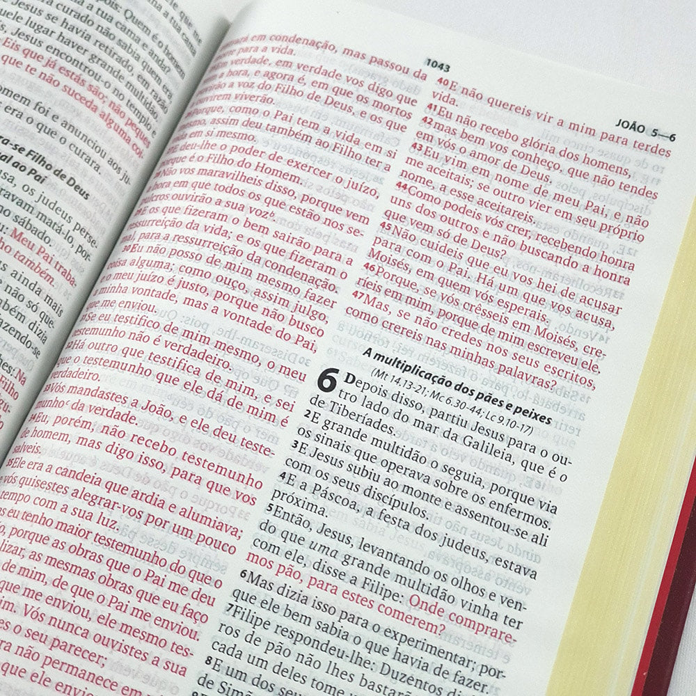 Bíblia Sagrada | Harpa Cristã | Letra Grande | Capa Luxo Vinho