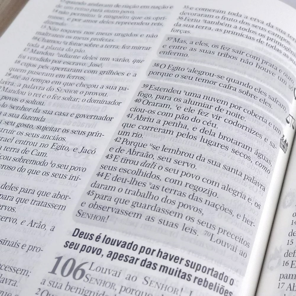 Bíblia de Estudo | Batalha Espiritual e Vitória Financeira | ARC | Capa Luxo Flores Preta