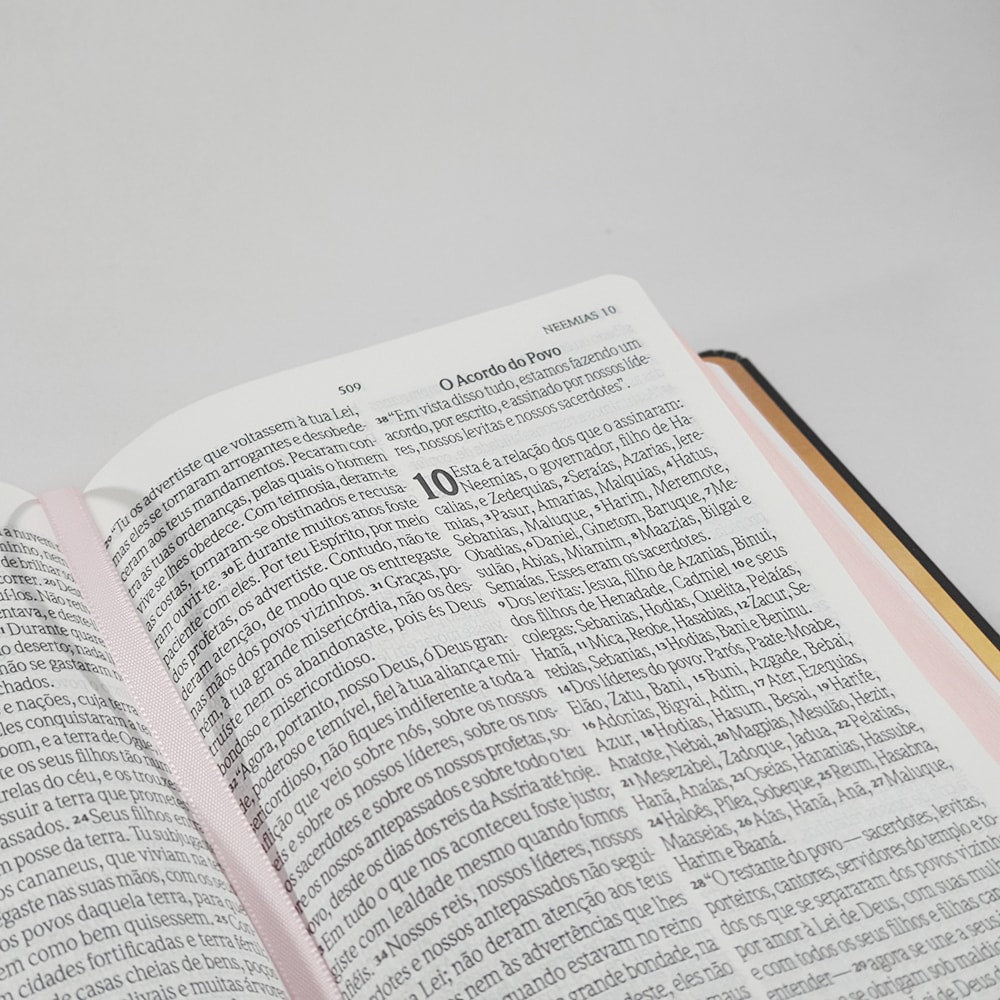 Bíblia Sagrada Flores Preta | NVI | Letra Gigante | Capa Dura